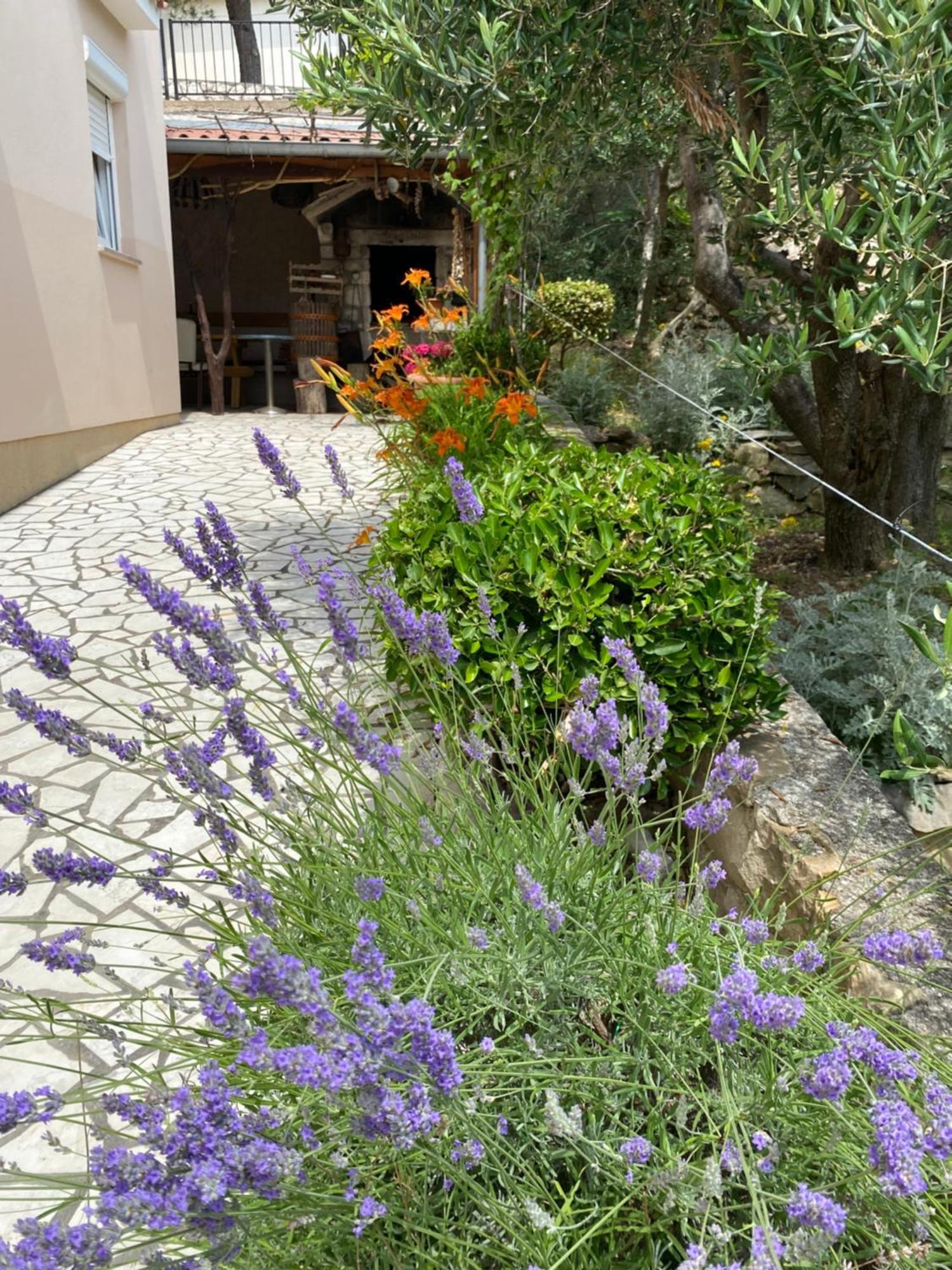 Apartments Vesna Banjol Exterior foto